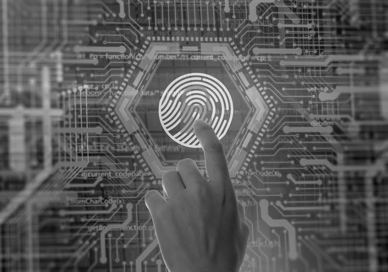 2022 TAG US FRAUD BENCHMARK REPORT