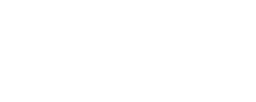 meta-300